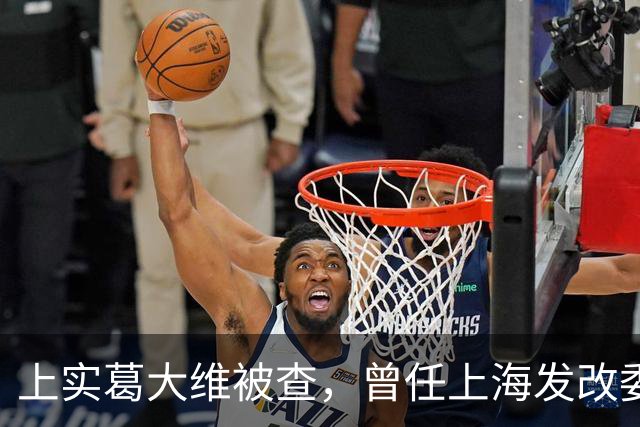 上实葛大维被查，曾任上海发改委副主任，同集团原总裁刚判死缓