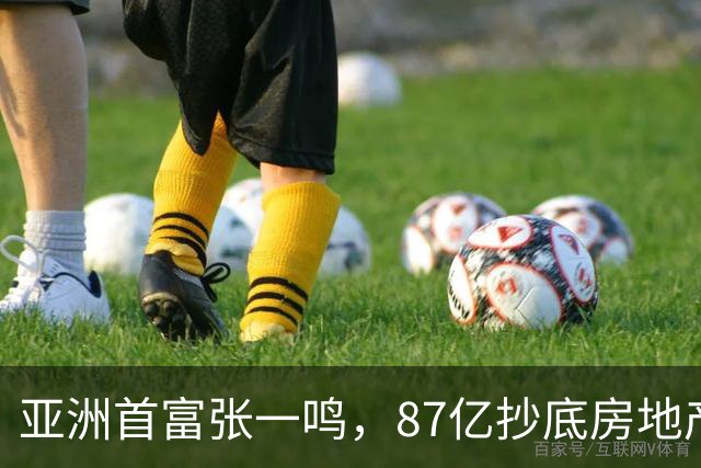 亚洲首富张一鸣，87亿抄底房地产