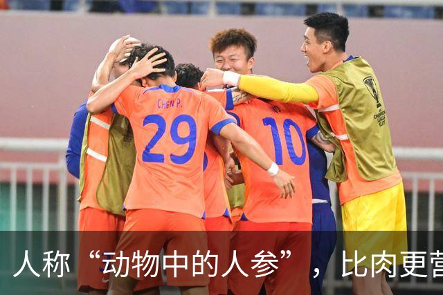 人称“动物中的人参”，比肉更营养，6块钱一斤，好吃实惠别错过