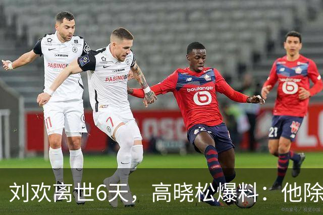 刘欢离世6天，高晓松爆料：他除了音乐家、老师、还有一特殊身份