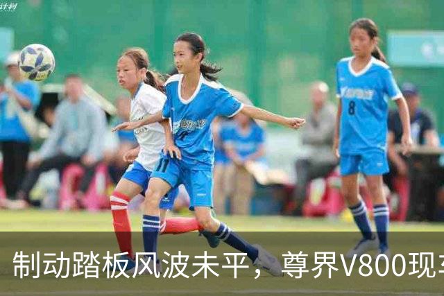制动踏板风波未平，尊界V800现车加价仍在