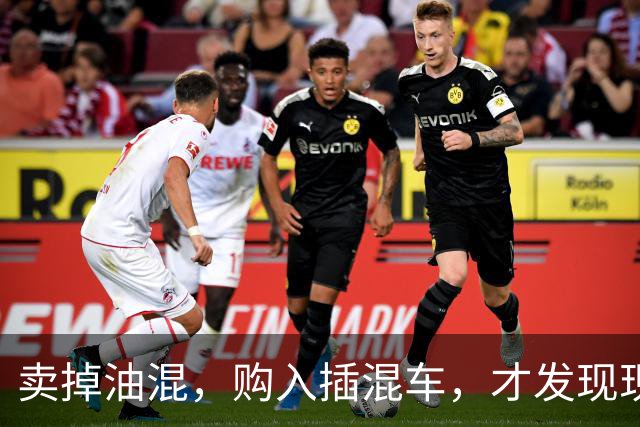 卖掉油混，购入插混车，才发现现在油混车已沦为智商税！