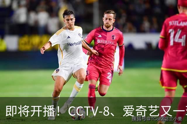 即将开播！CCTV-8、爱奇艺又一现实疗愈大剧来袭，阵容绝了，要火
