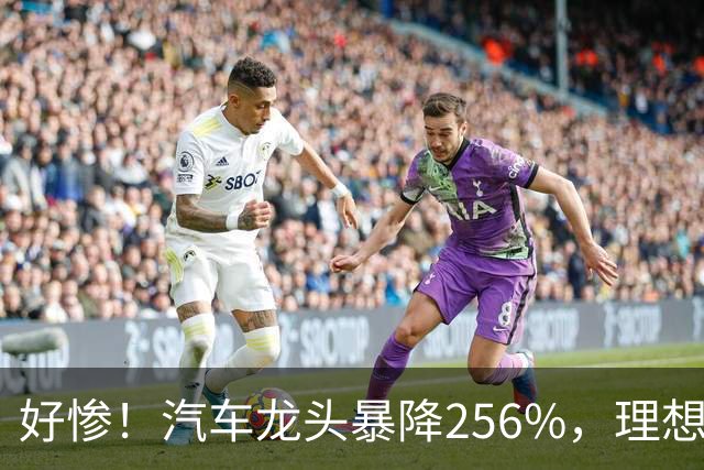 好惨！汽车龙头暴降256%，理想赛力斯小鹏全都亏损，汽车集体暴雷