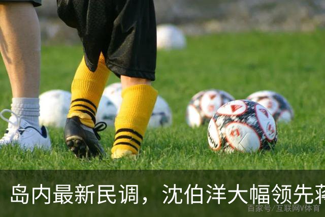 岛内最新民调，沈伯洋大幅领先蒋万安？赵少康罕见向大陆喊话