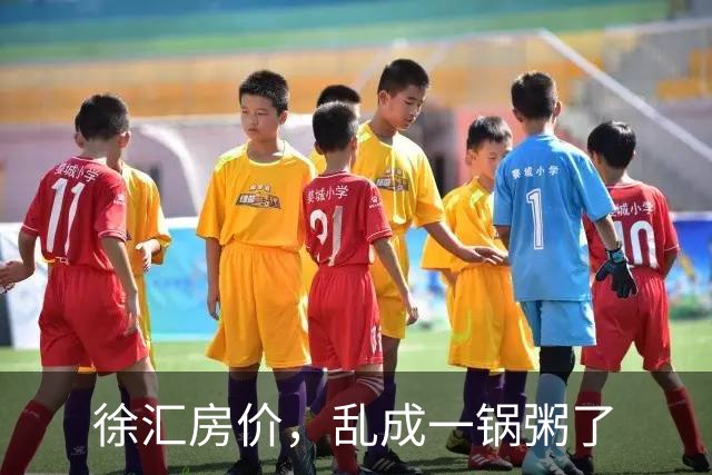 徐汇房价，乱成一锅粥了