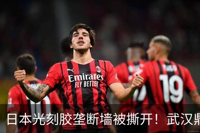 日本光刻胶垄断墙被撕开！武汉鼎龙硬核突围