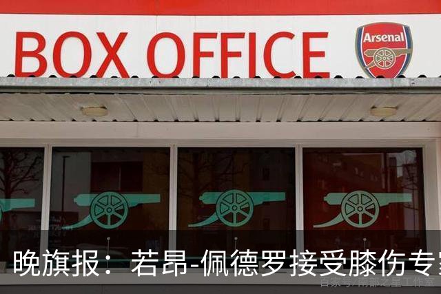 晚旗报：若昂-佩德罗接受膝伤专家诊治，希望加快康复进程