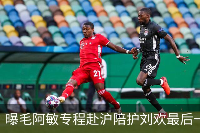 曝毛阿敏专程赴沪陪护刘欢最后一程