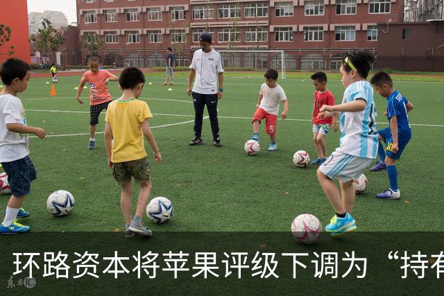 环路资本将苹果评级下调为“持有”，同步下调iPhone营收预期