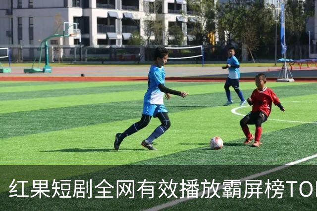 红果短剧全网有效播放霸屏榜TOP10！第一名3.26亿断层登顶榜首！