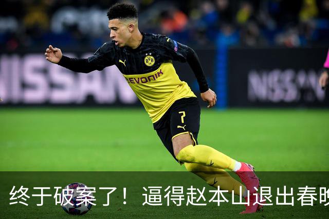 终于破案了！逼得赵本山退出春晚的不是哈文，更不是范伟、宋丹丹