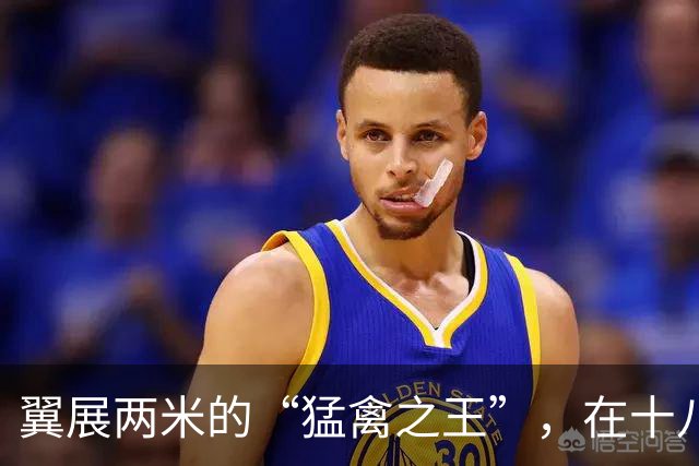 翼展两米的“猛禽之王”，在十八里长峡被拍到了