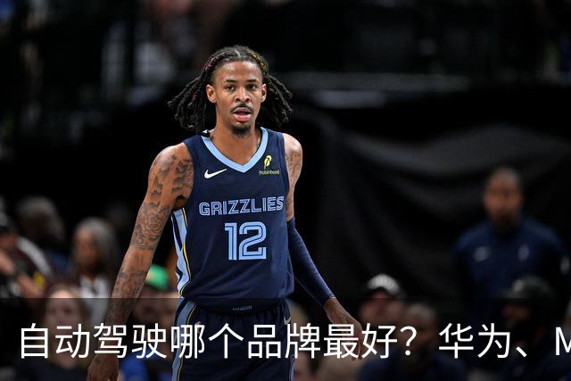 自动驾驶哪个品牌最好？华为、Momenta、地平线、卓驭实力大盘点