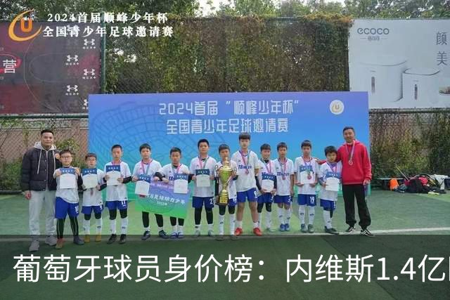 葡萄牙球员身价榜：内维斯1.4亿欧居首，巴黎三人位居前三