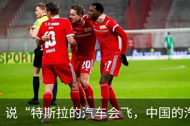 说“特斯拉的汽车会飞，中国的汽车刹车踏板会断”的人，不是蠢，就是坏
