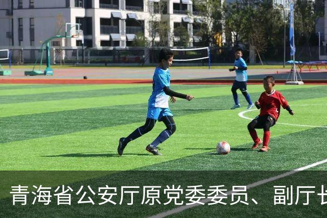 青海省公安厅原党委委员、副厅长杜海民被开除党籍