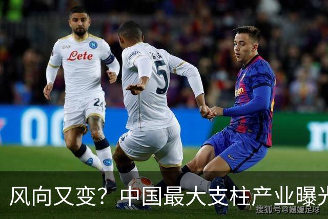 风向又变？中国最大支柱产业曝光，或取代房地产，将来或超越美国