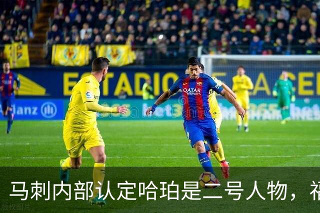 马刺内部认定哈珀是二号人物，福克斯和卡斯尔都得让位？