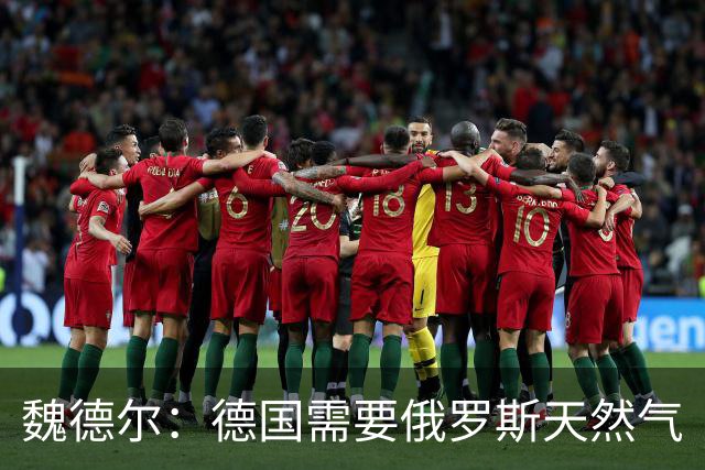 魏德尔：德国需要俄罗斯天然气